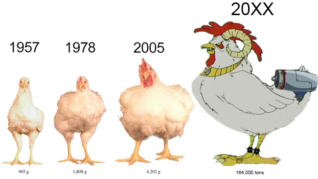 Tavuk Yemek Erkekliğinizi Bitirebilir