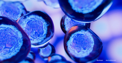 Makula dejenerasyonu hakkında merak ettikleriniz