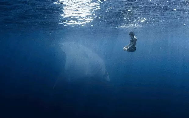 Aquafobi nedir? Aquafobinin belirtileri nelerdir? Aquafobiye sahip insanların korktukları şeyler nelerdir? Aquafobi nedenleri nelerdir? Aquafobinin belirtileri nelerdir? Aquafobi nasıl tedavi edilir?