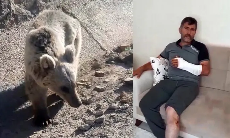 Erzurum'da öldü sandığı ayıdan güreşerek kurtuldu