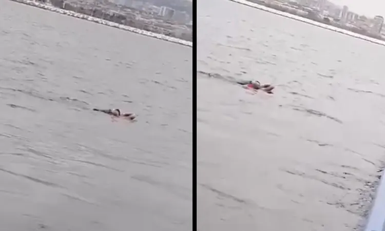 İstanbul'da vapurdan denize yolcu düştü
