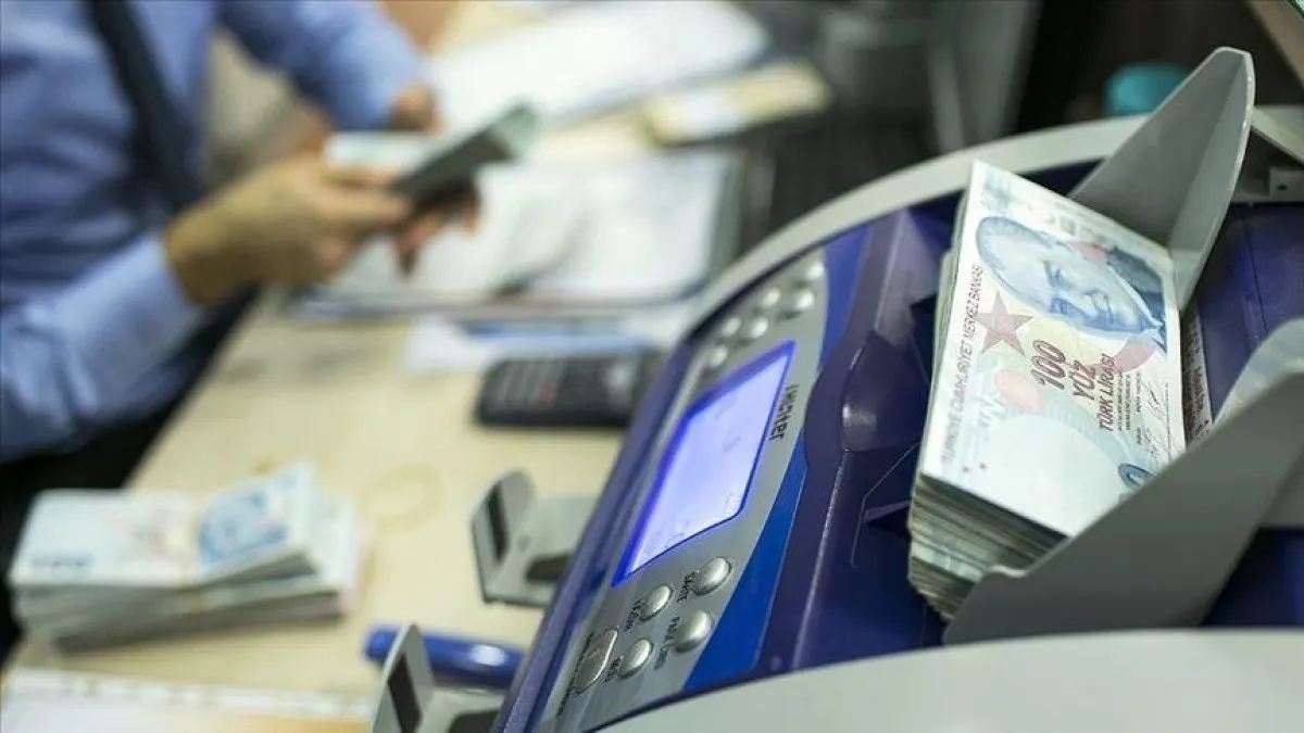 Merkez Bankası, 16 şirkete faaliyet izni verdi