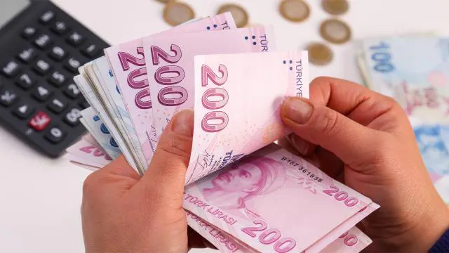 Tarımsal destekleme ödemeleri hesaplara yatırılıyor