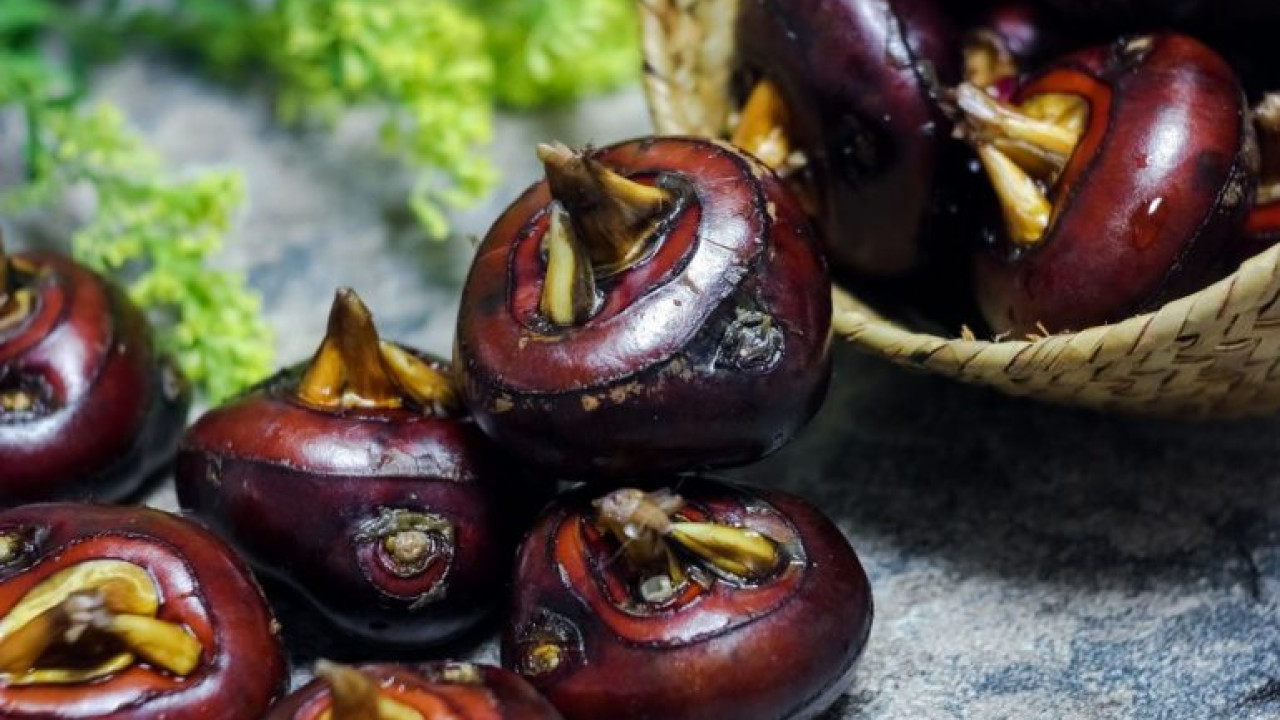 Su Kestanesi Nedir, Yenir mi?
 Trapa Natans Zararlı mı?
Su Kestanesi Zehirler mi?