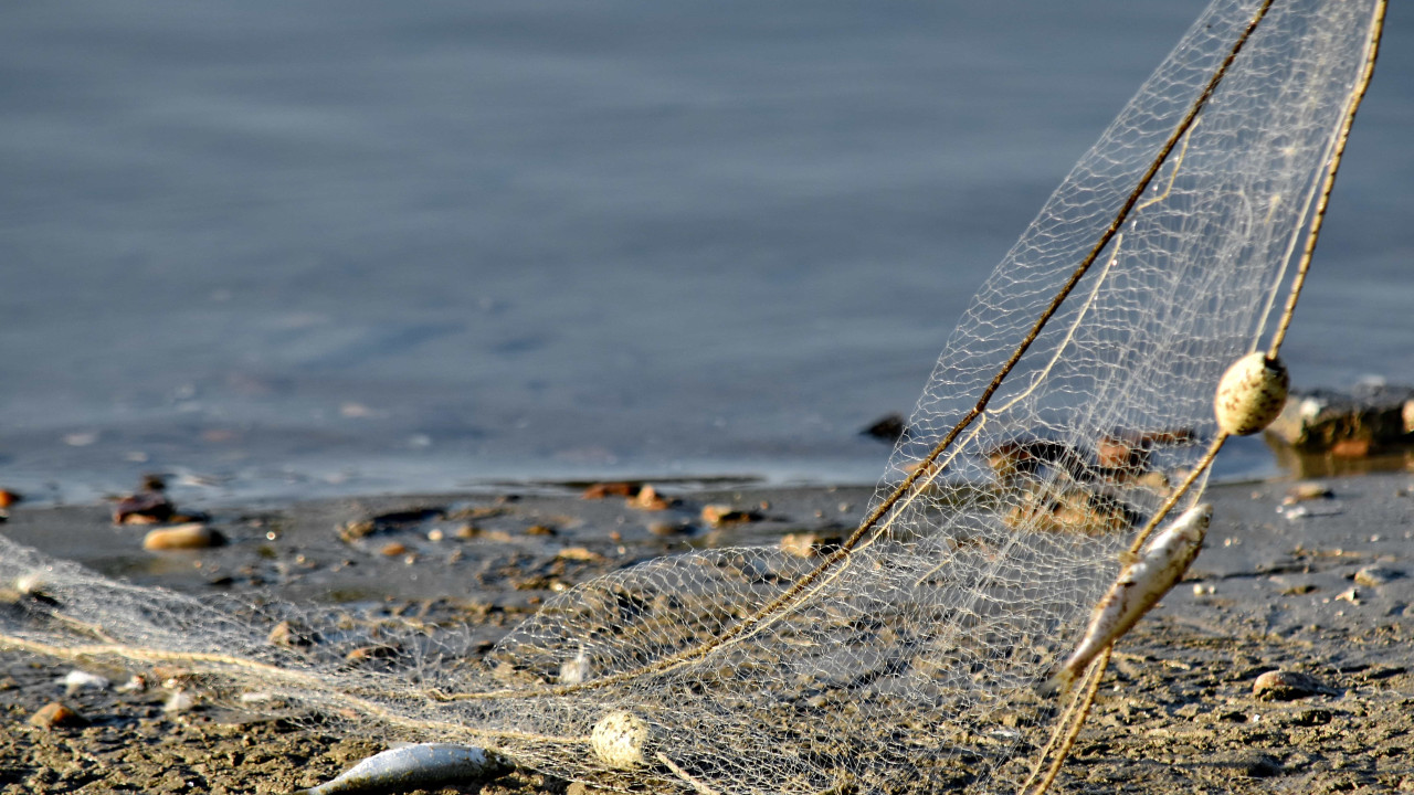 Denizlerde Av Sezonu Bitti mi, Av Yasağı Başladı mı? 2026 Balıkçılık Takvimi Netleşti