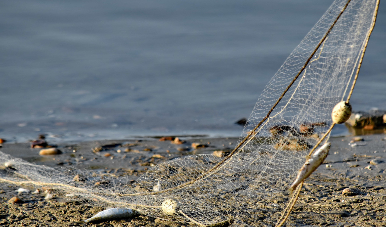 Denizlerde Av Sezonu Bitti mi, Av Yasağı Başladı mı? 2026 Balıkçılık Takvimi Netleşti